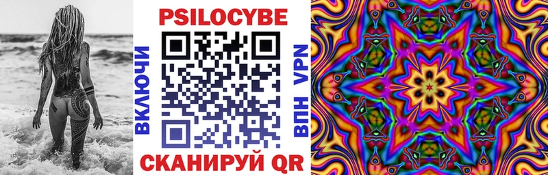 Купить закладки  Сегежа  Галлюциногенные грибы MAGIC MUSHROOMS 
